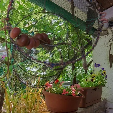 Loredana A2 * וולי לוסיניי